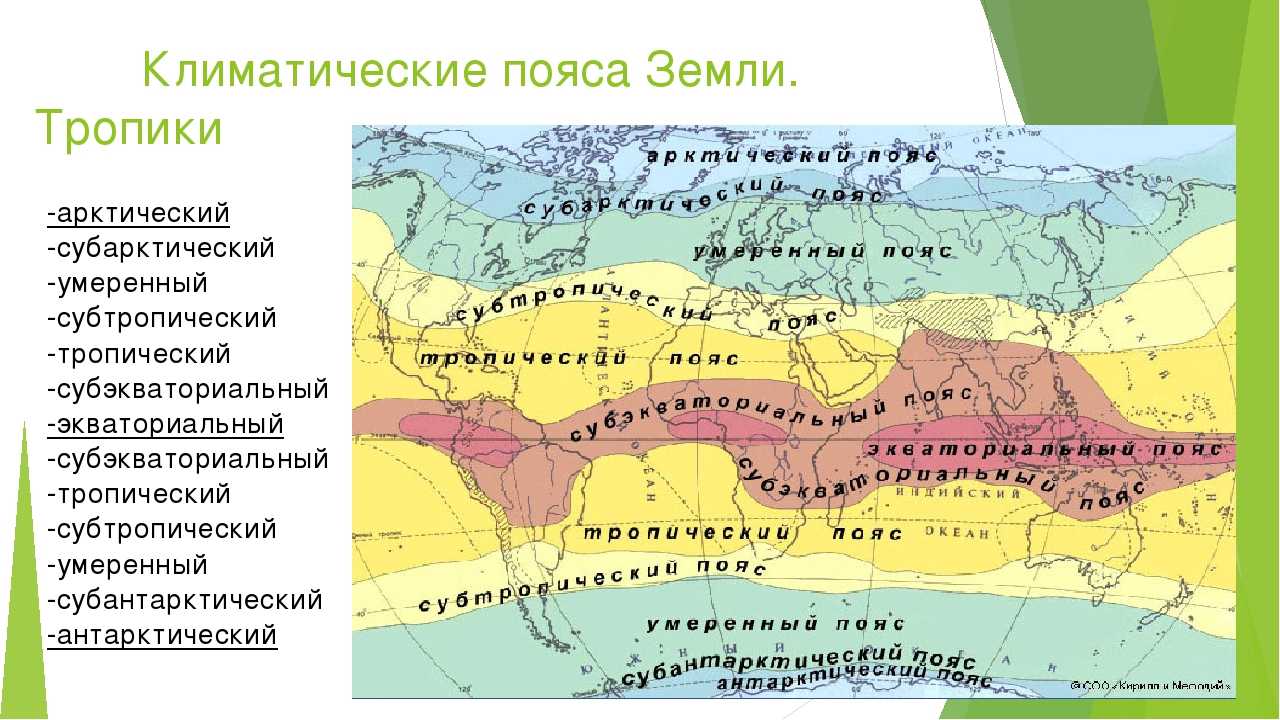 Чем умеренный континентальный климат евразии отличается от морского?