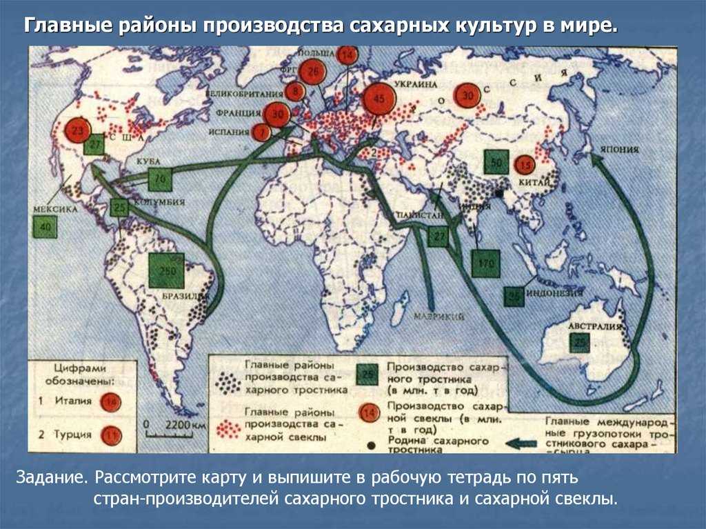 Районы производства сельскохозяйственной продукции. Производители сахарного тростника и сахарной свеклы в мире. Районы производства сахарной свеклы в мире. Главные районы производства масличных культур.