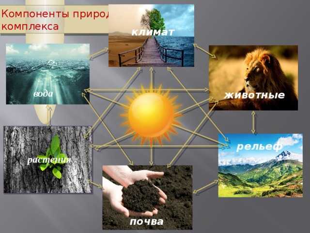 География