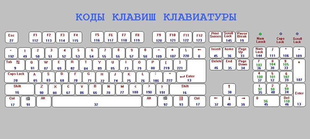 Зачем на клавиатуре нужна клавиша esc, ее функции, о которых вы не знали