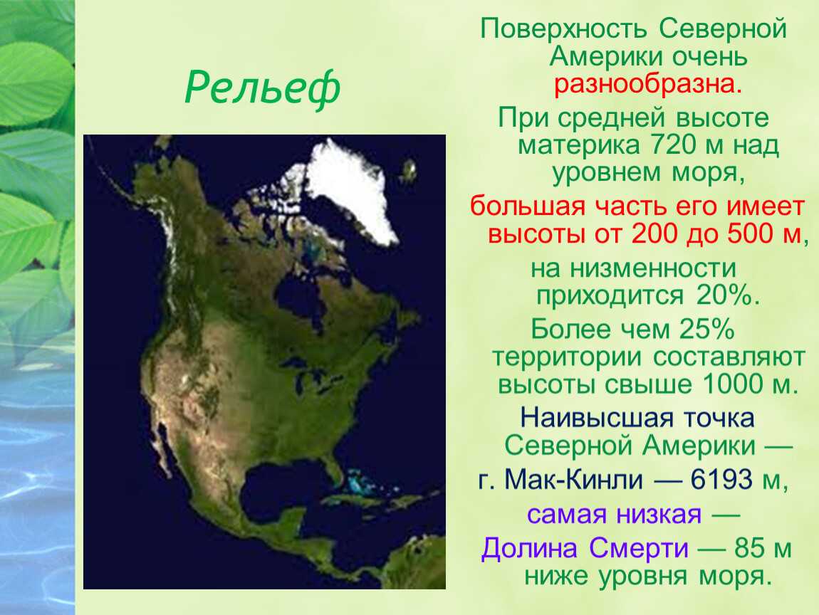 Североамериканская плита
