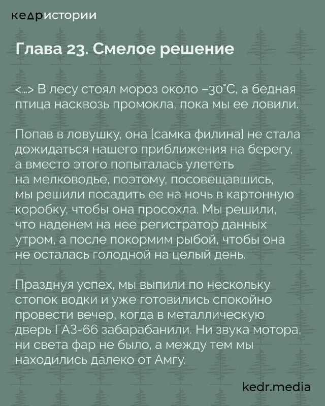 Лабрадор (полуостров)