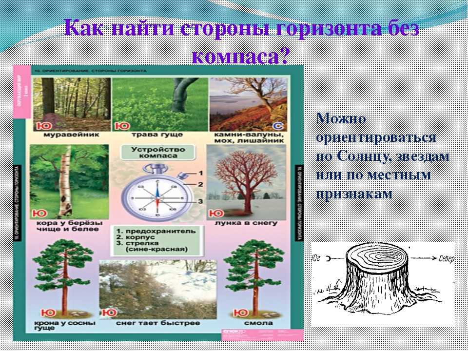 Как точно определить границу леса на местности: полезные советы и инструменты