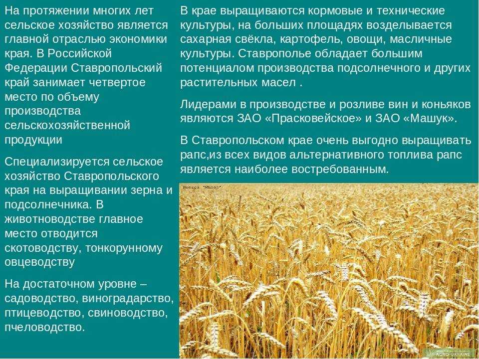 Ок. окато общероссийский классификатор объектов административно-территориального деления