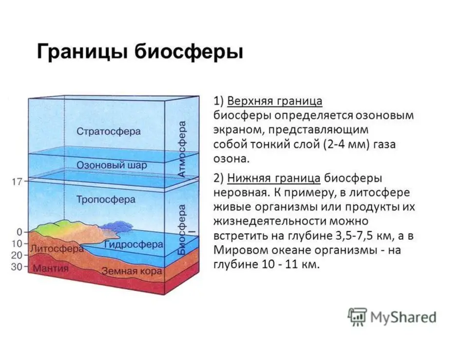 Факторы, ограничивающие верхние пределы биосферы: основные ограничения и их роль