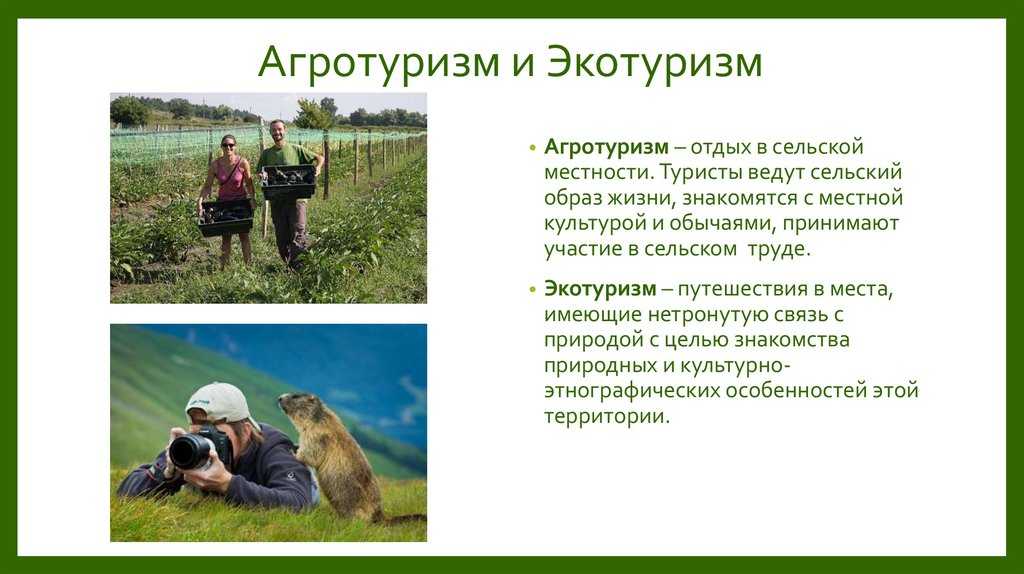Окато — энциклопедия руниверсалис