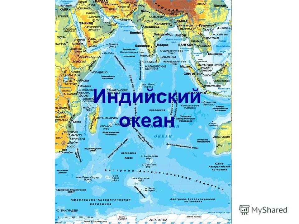 Карта тёплых и холодных течений мирового океана