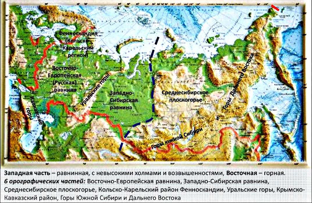 Крупные природные районы россии - названия, характеристика и карта — природа мира