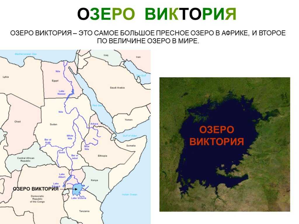 19 удивительных фактов об озере виктория, уганда: местоположение, цихлиды, карта, размер, острова