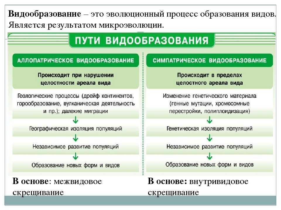 Популяция, вид, способы видообразования. микроэволюция | эволюция органического мира | теория | решутест. продвинутый тренажёр тестов