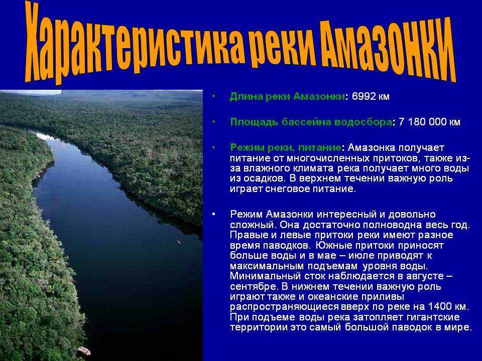 Река амазонка: длина в километрах, приток, кто вводиться в водах
