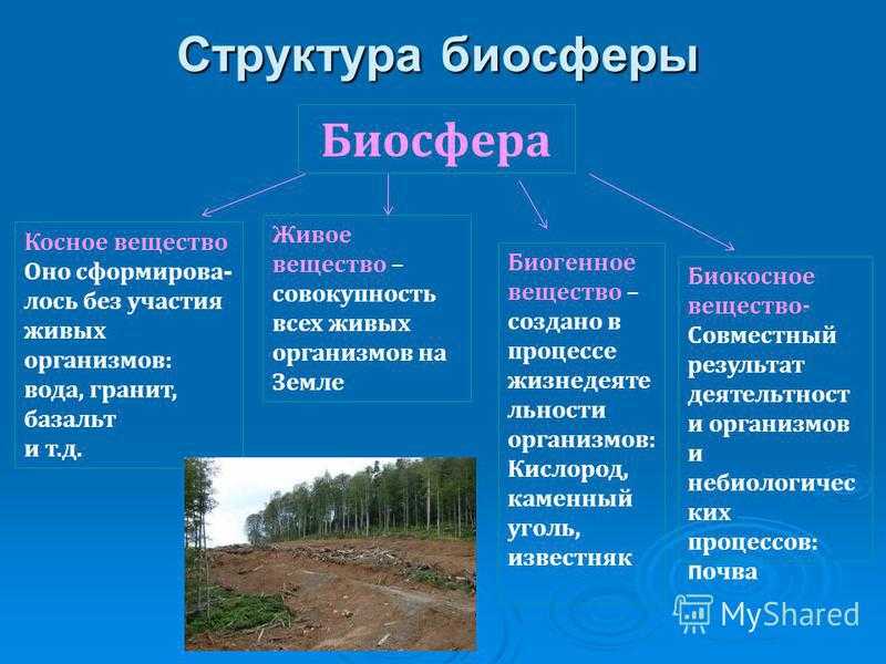 Кто впервые ввел в науку термин биосфера?