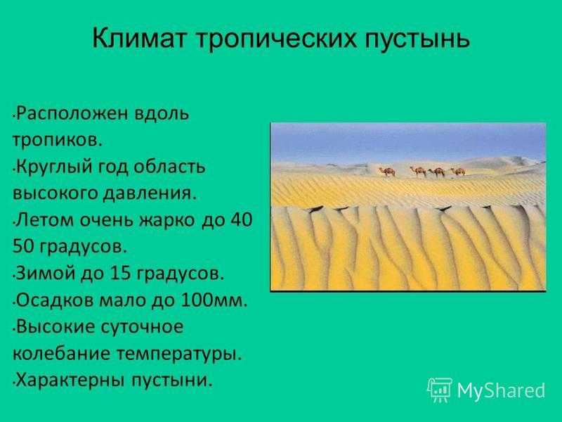 Климат земли: что это, типы и виды климата на поверхности земли, факторы - климатические пояса и их характеристики