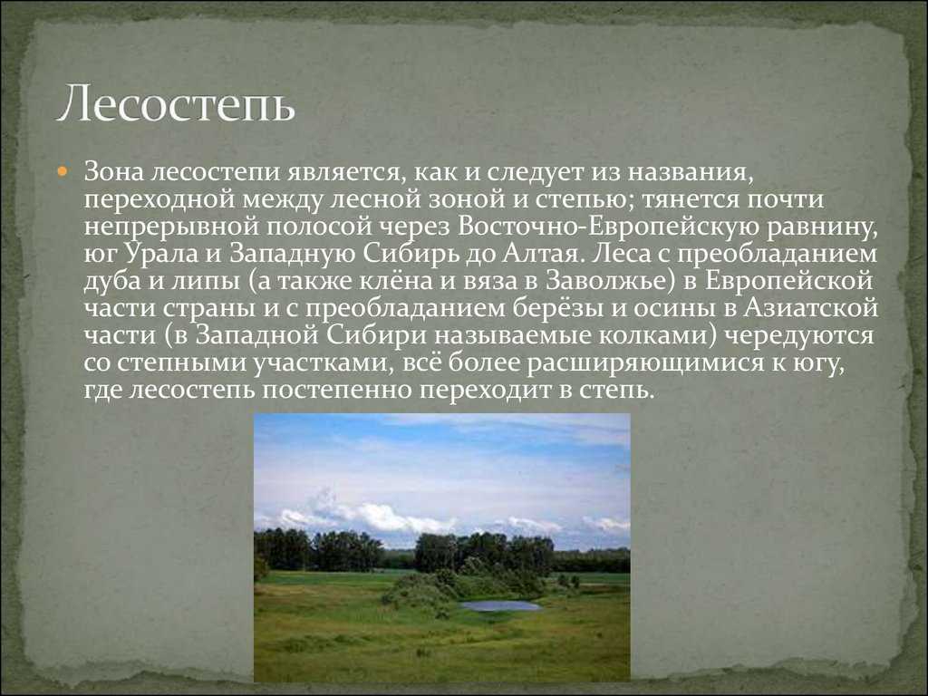 Почему лесостепи и степи относятся. Природные зоны России 4 класс лесостепи. Сообщение о лесостепной зоне. Особенности лесостепной зоны. Степи и лесостепи.