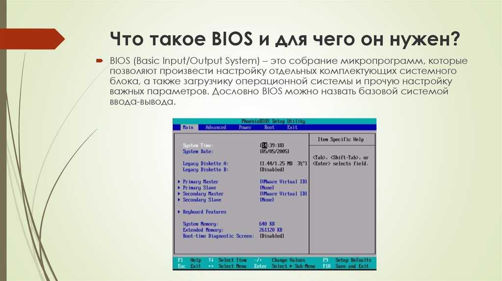 Биос логос: смысл, значение и основные принципы