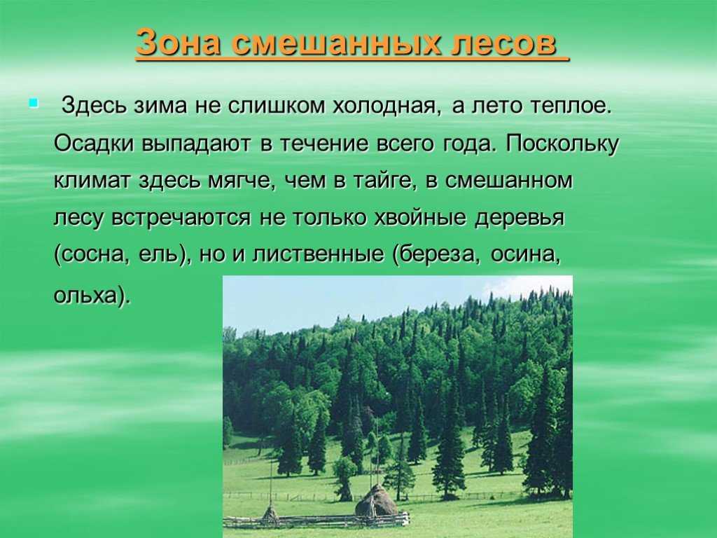 Лазаревич к. 	 |
изучение географии россии по природным зонам | журнал «география» № 20/2005