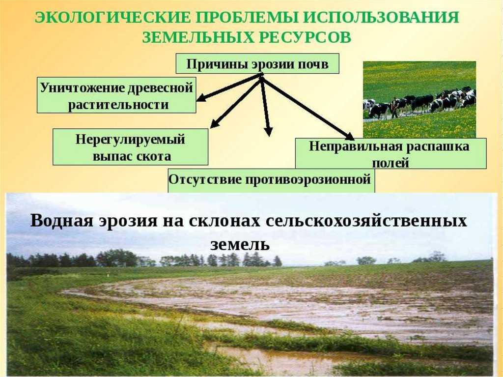 1.5 почвенно-растительный покров