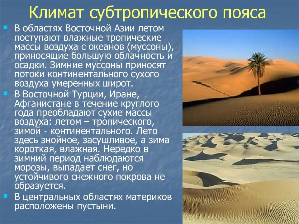 Субтропики - википедия