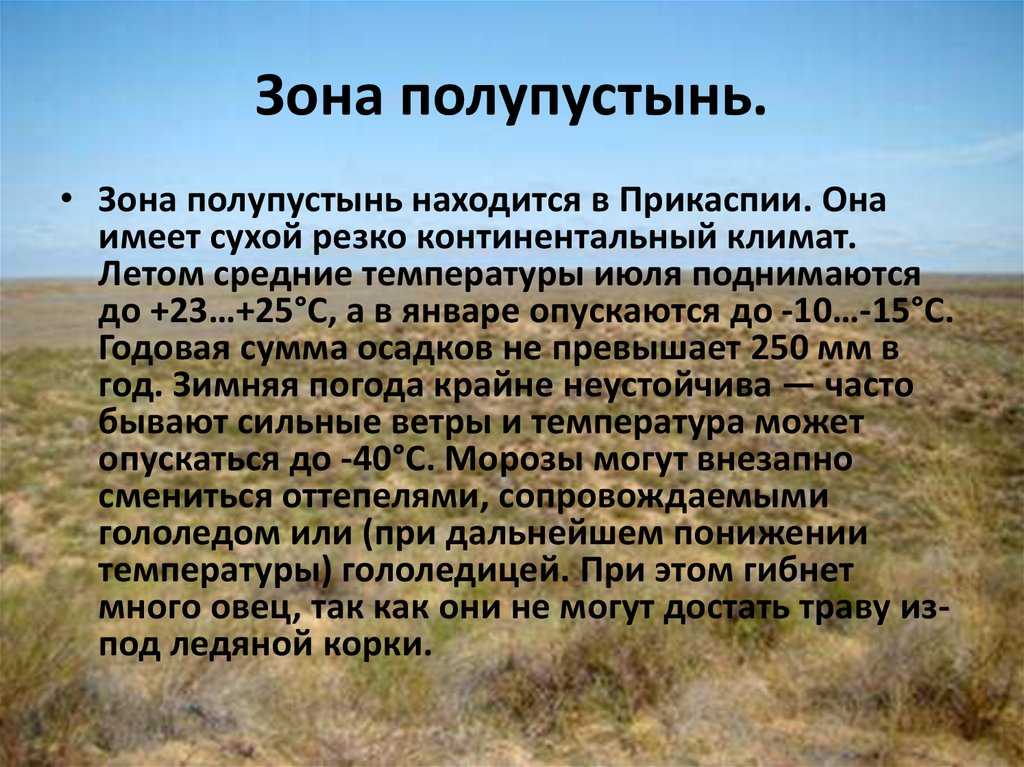 Растения и животные пустыни россии