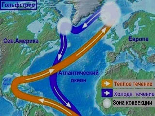 Течение гольфстрим