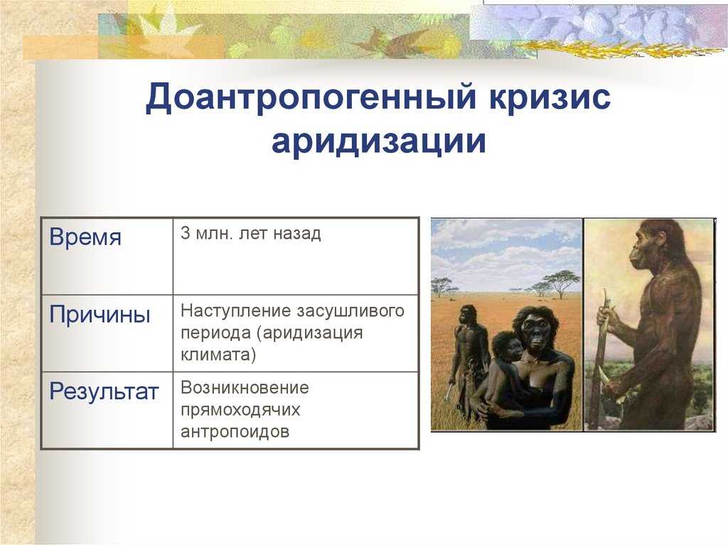 Что такое аридизация простыми словами