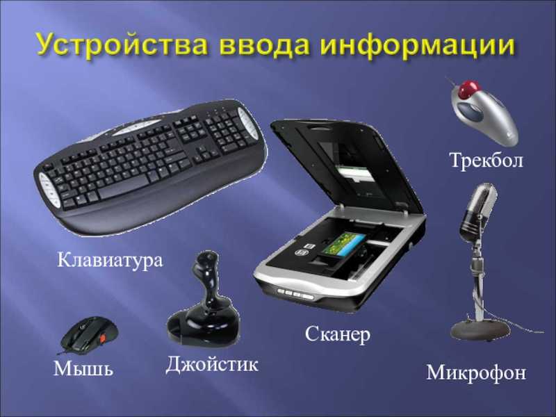 §36. устройства ввода | клавиатура (курс pol 136 ч.)