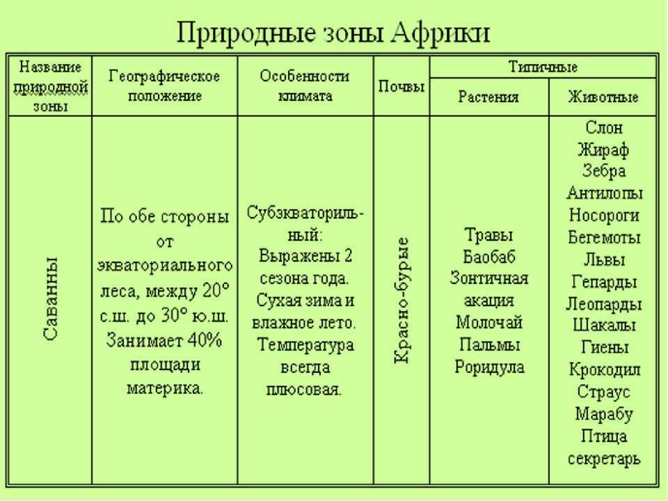 Чем отличаются тропический и субтропический климат?