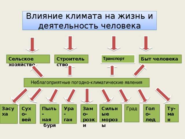 Климат россии – климатические зоны и пояса россии, карта зон, расположение, таблицы
