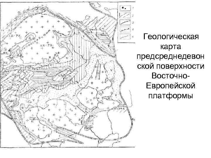 Восточно-европейская равнина