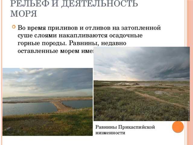 Черноморская береговая линия это кратко