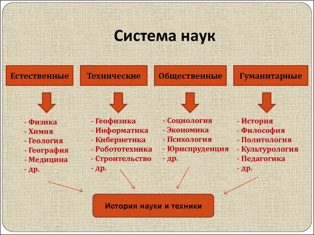 Способ изолиний: понятие и разновидности изолиний
