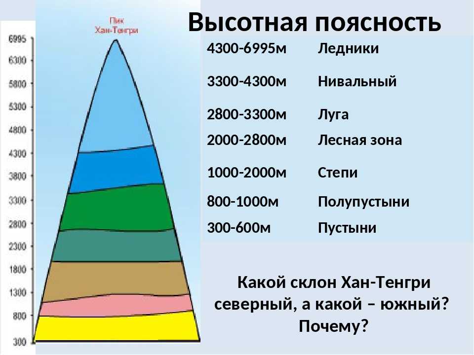 Высотная поясность