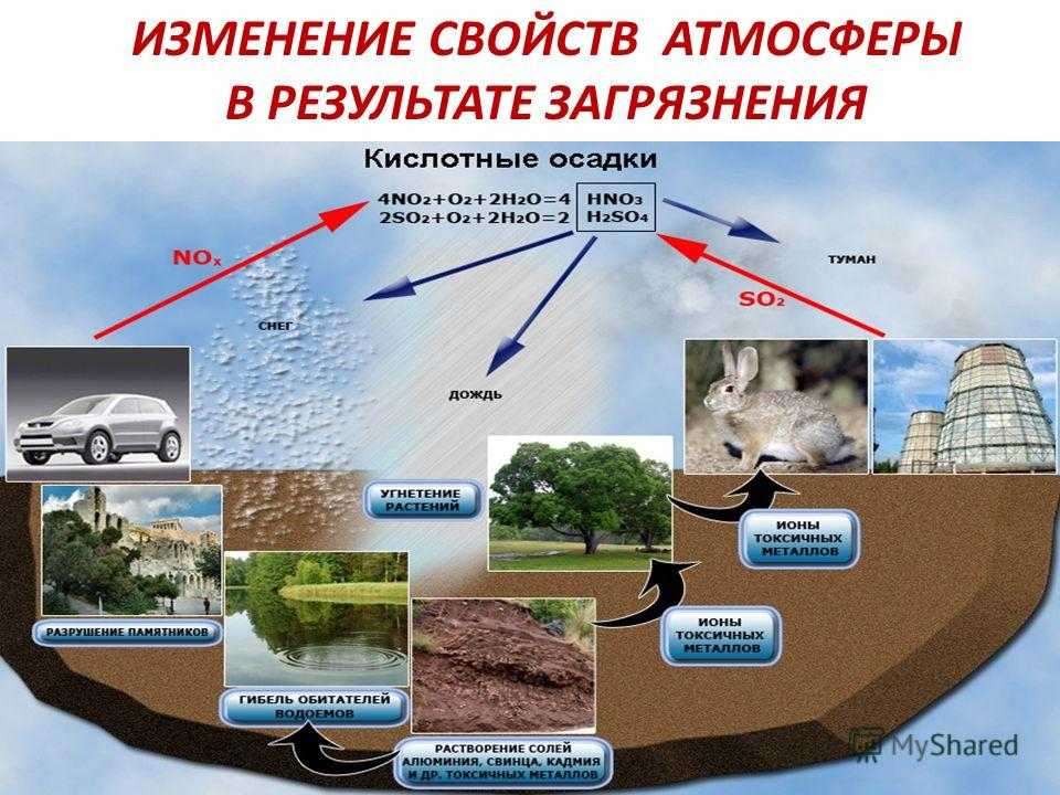 Осадки и их климатическое значение
