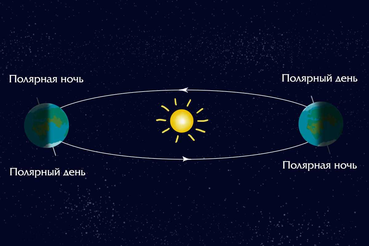 Характеристика арктического климата: географические особенности и жизненные условия полярных зон