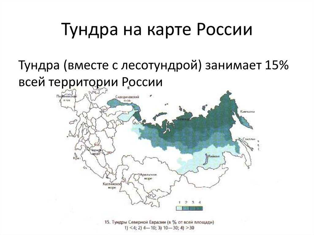 Природные зоны россии