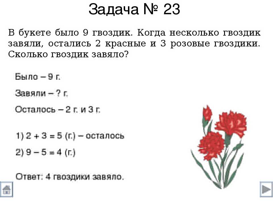 Страны аридного пояса земли