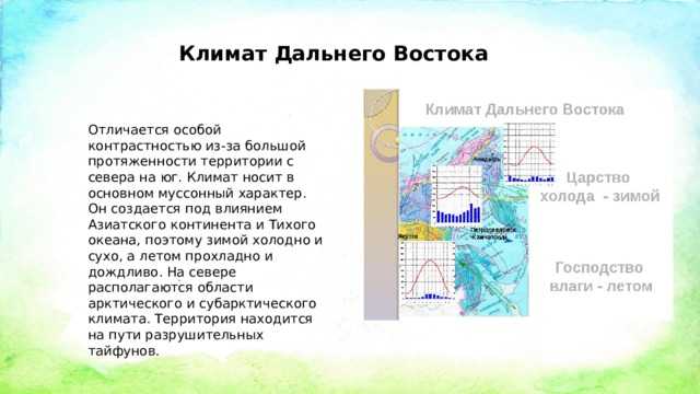 Дальний восток