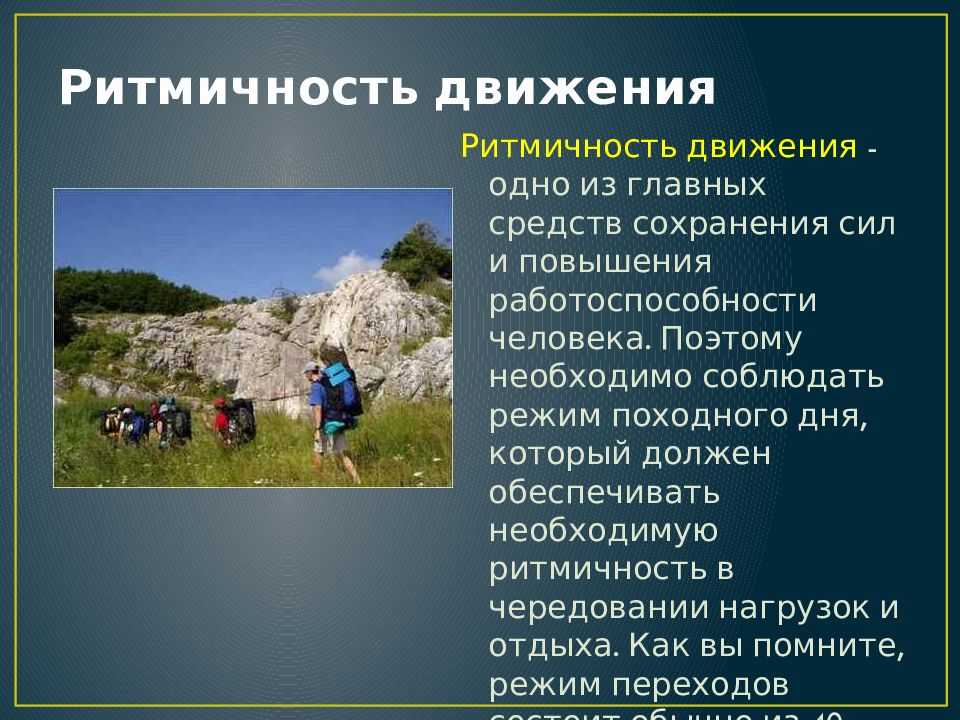 Тесты по обж для 6 класса «правила поведения на природе» | doc4web.ru