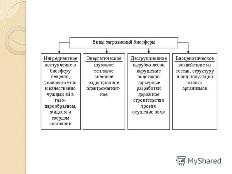 Загрязнение окружающей среды: виды, проблемы, источники