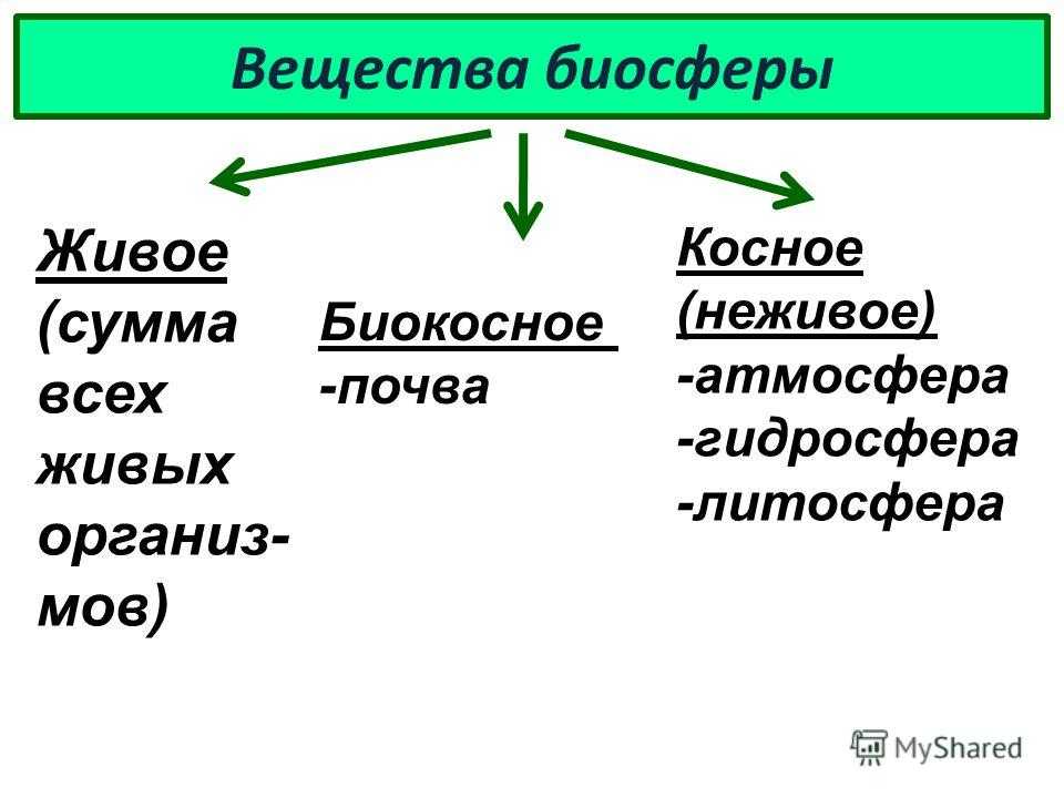 Биосфера земли - значение, состав и фунции, схема | влияние биосферы на человека