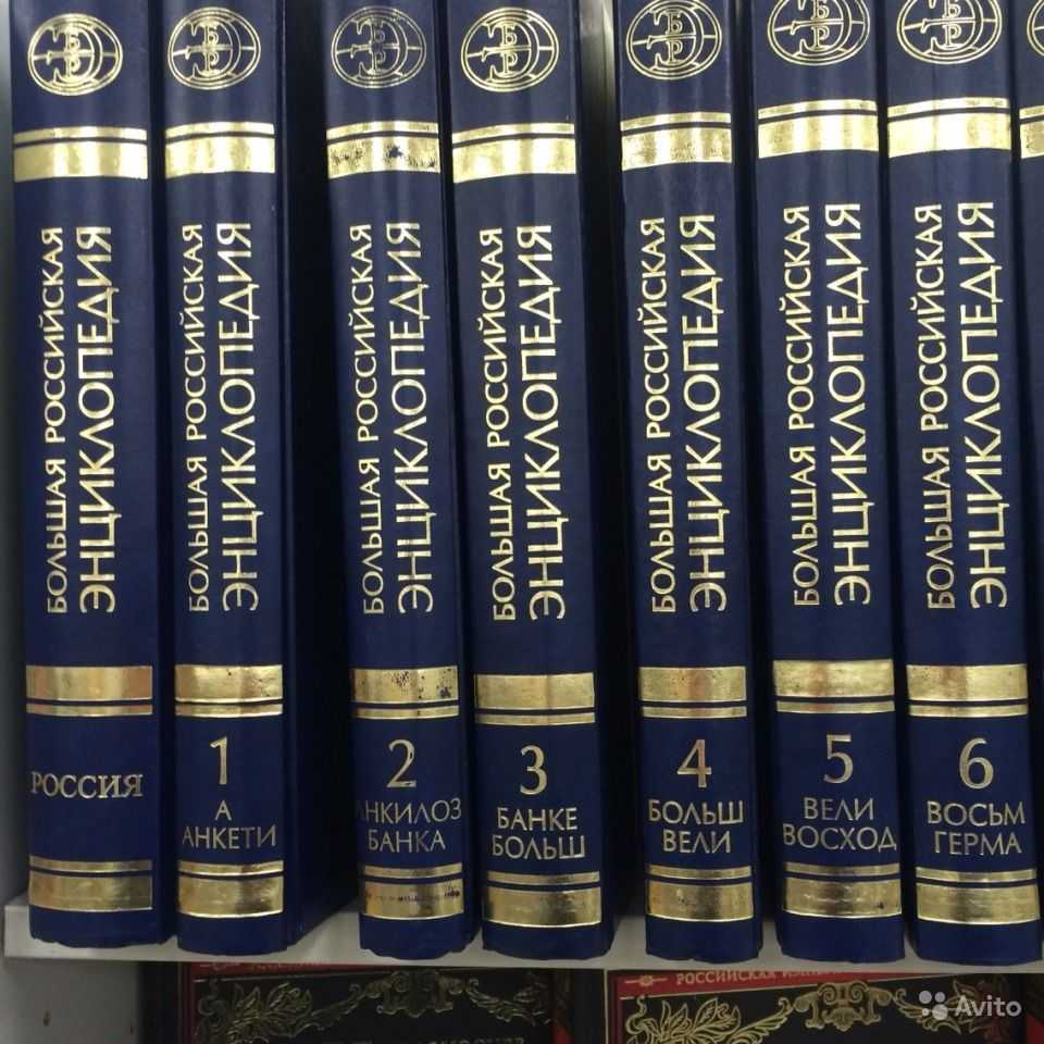 Что такое лабрадор география: основные информации и особенности
