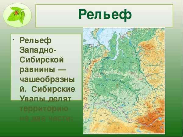 Западно-сибирская равнина - географическое положение и общие характеристики