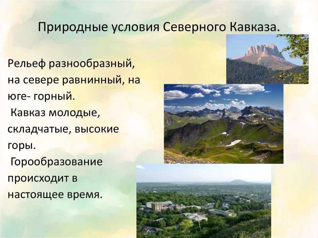Высотная поясность кавказа
