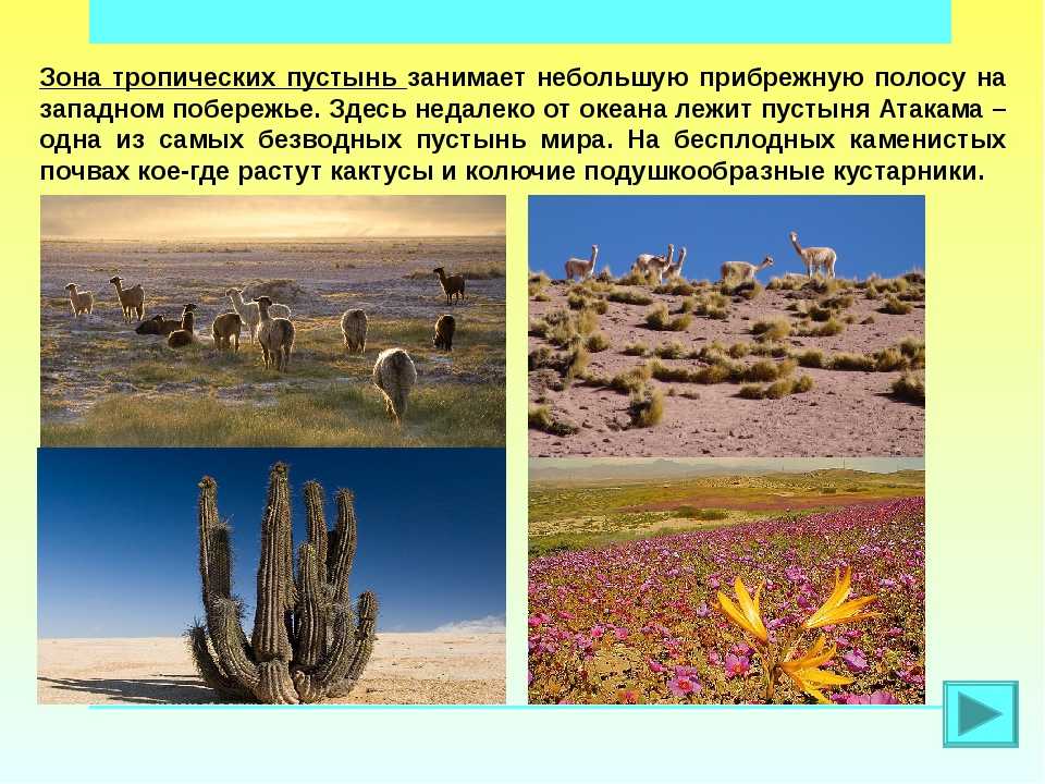 Южная америка