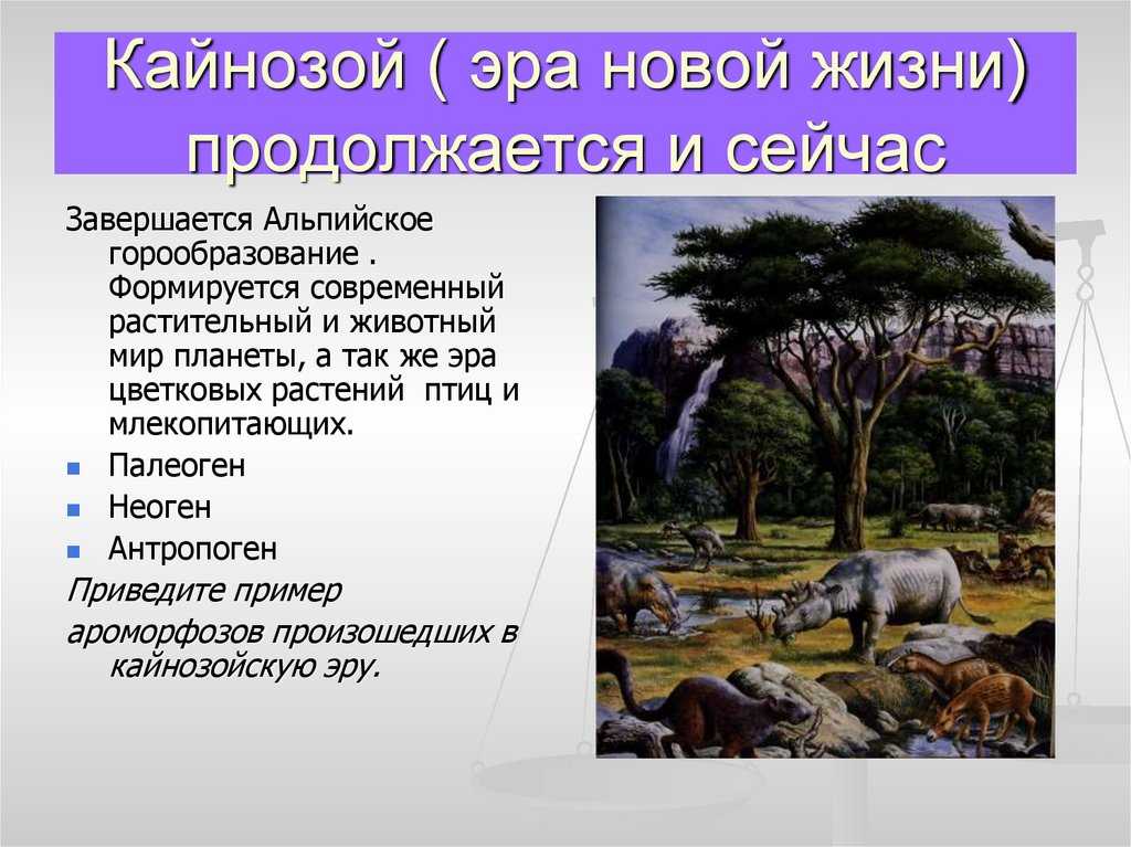 Земля в кайнозойскую эру: периоды, особенности - динозаврики