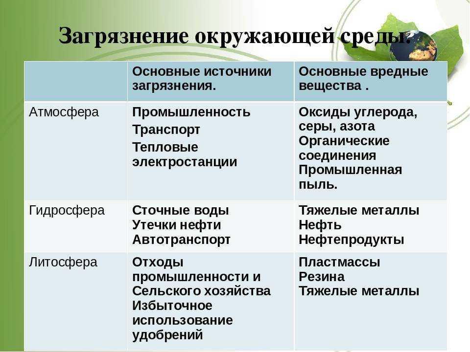 Загрязнение и охрана окружающей среды: понятия и пути решения проблемы