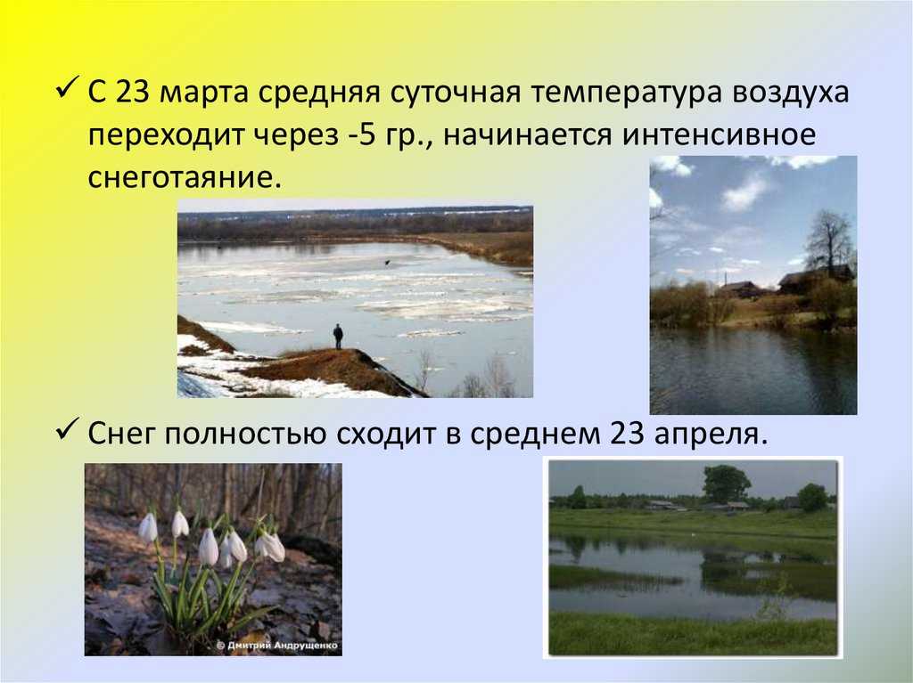 Кировская область: природа, растения и животные