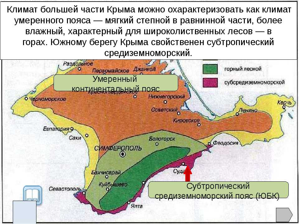 Как выращивают в крыму субтропические плодовые культуры