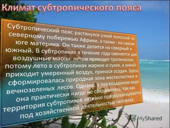 Характеристики субтропического климата, виды, флора, фауна