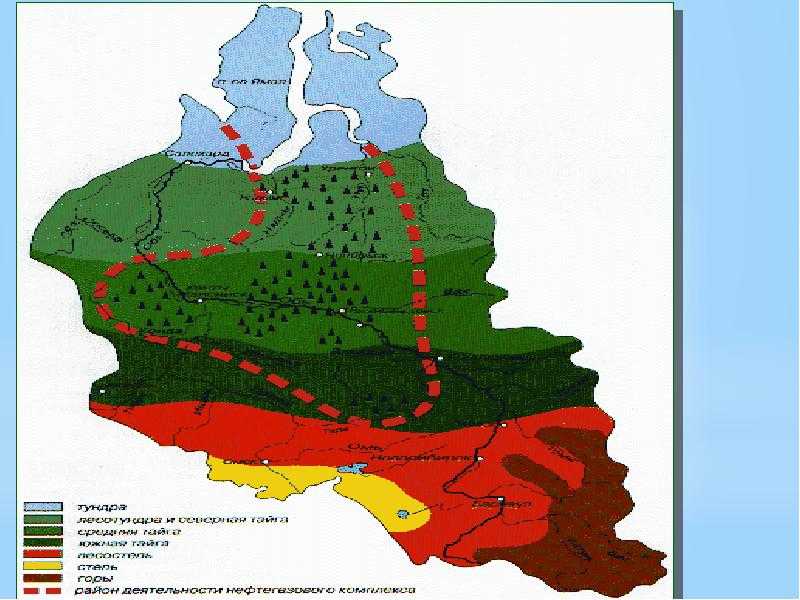 Особенности формирования климата западно-сибирской равнины - tarologiay.ru